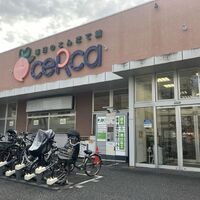 画像2447