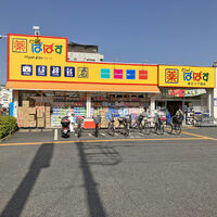 画像3247