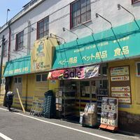画像3351