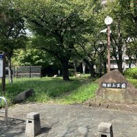 画像3390