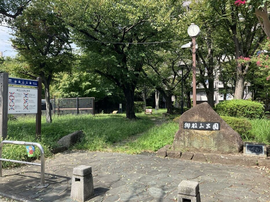 画像3390