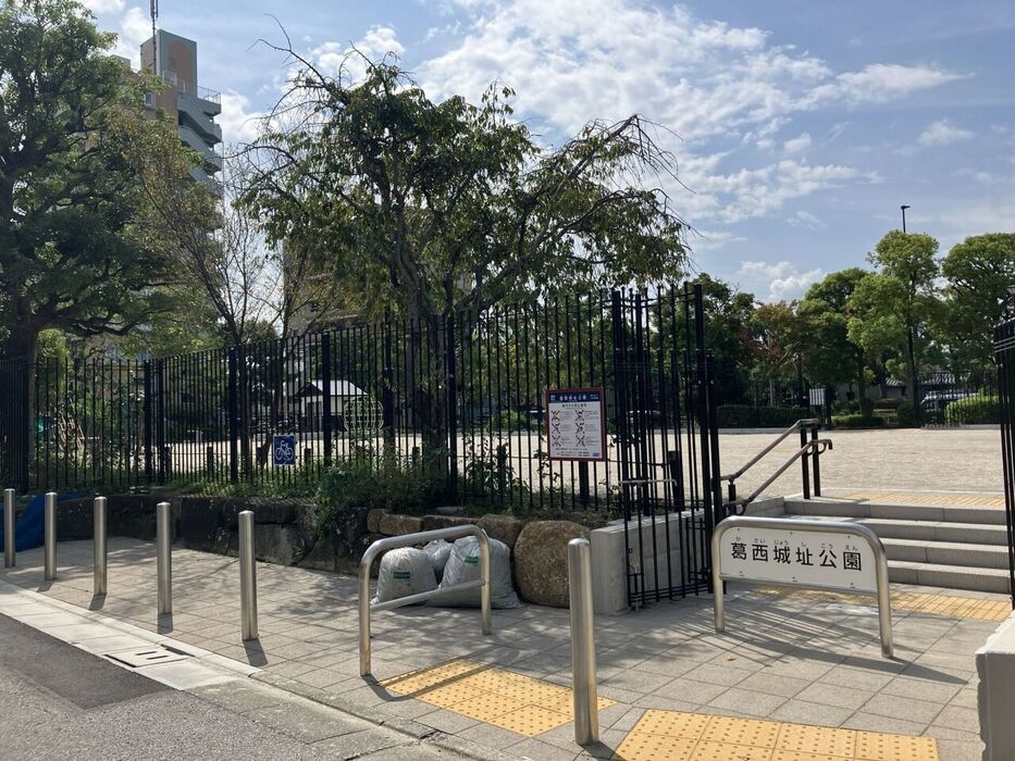 画像3393