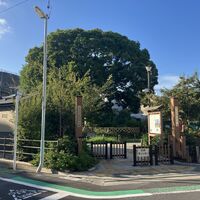 画像3414