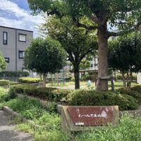 画像3474