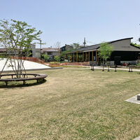 画像3496