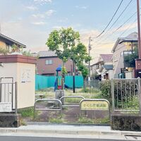 画像3541