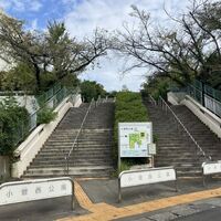 画像3544