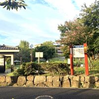 画像3556