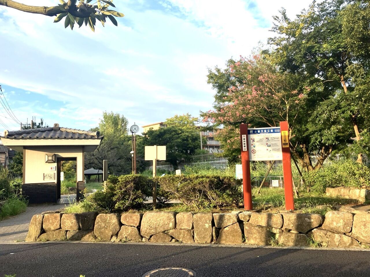 画像3556