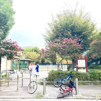 画像3609