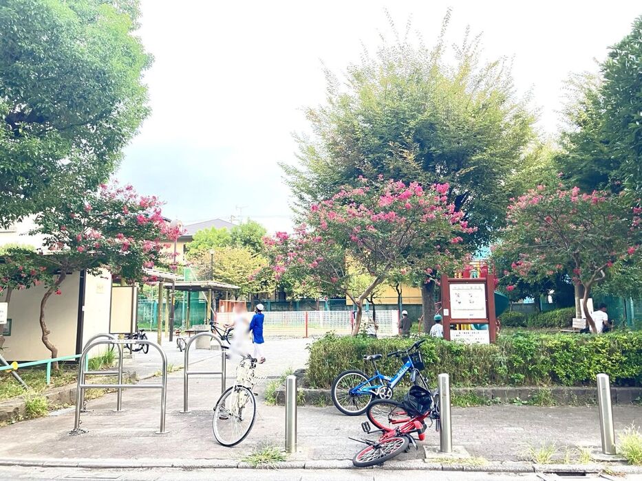 画像3609