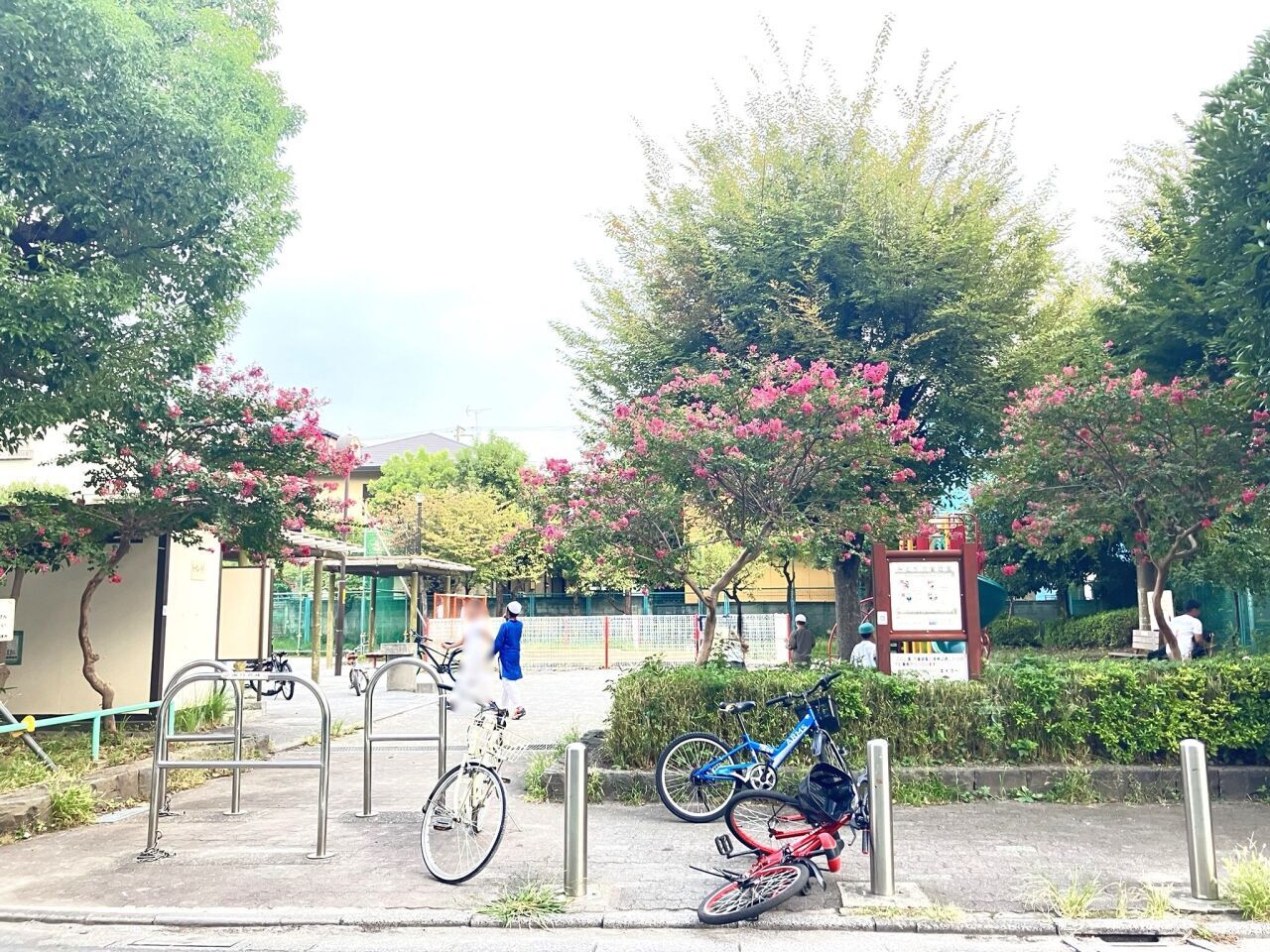 画像3609