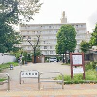 画像3633