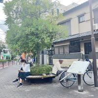 画像3698
