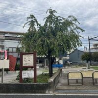 画像3746
