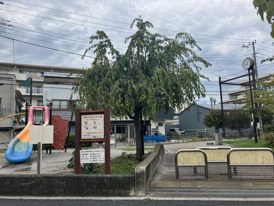 画像3746