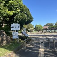 画像3773