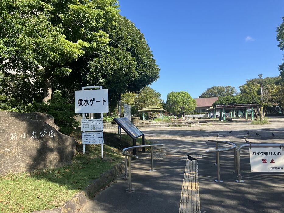 画像3773