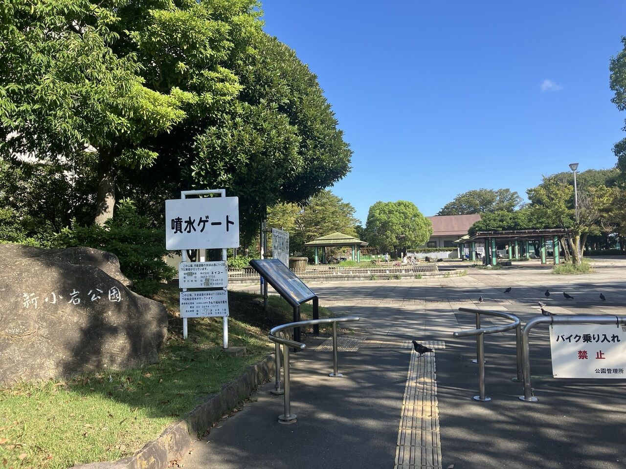 画像3773