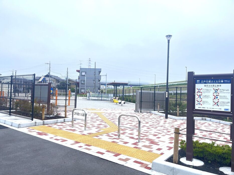 画像3851
