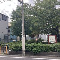 画像3881