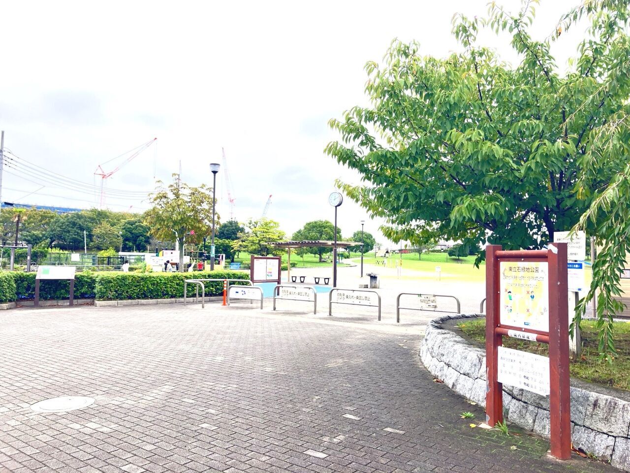 画像3890
