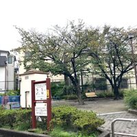 画像3893