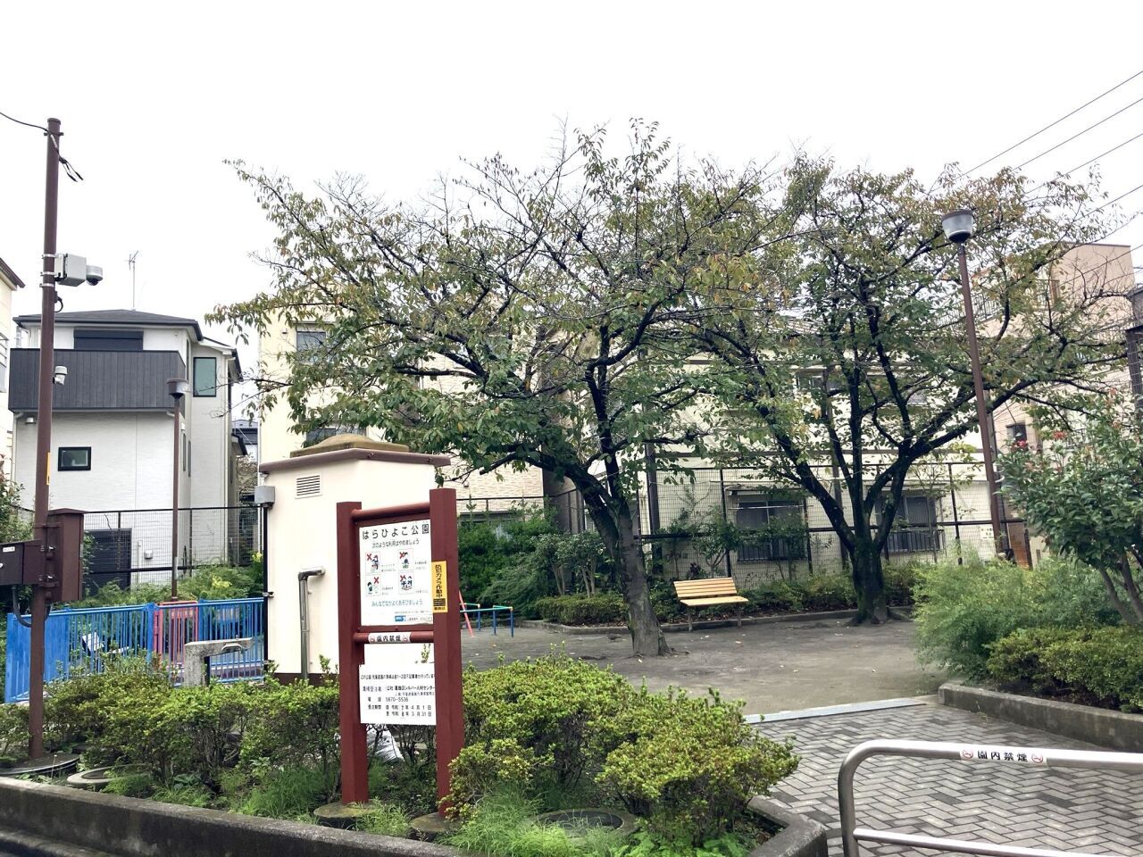 画像3893