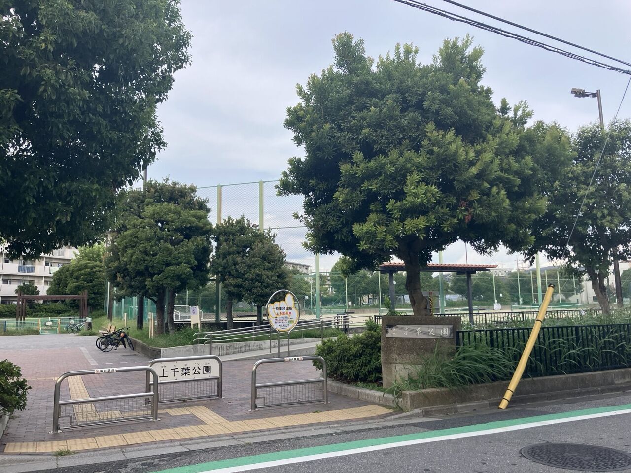 画像3902