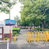 画像3929