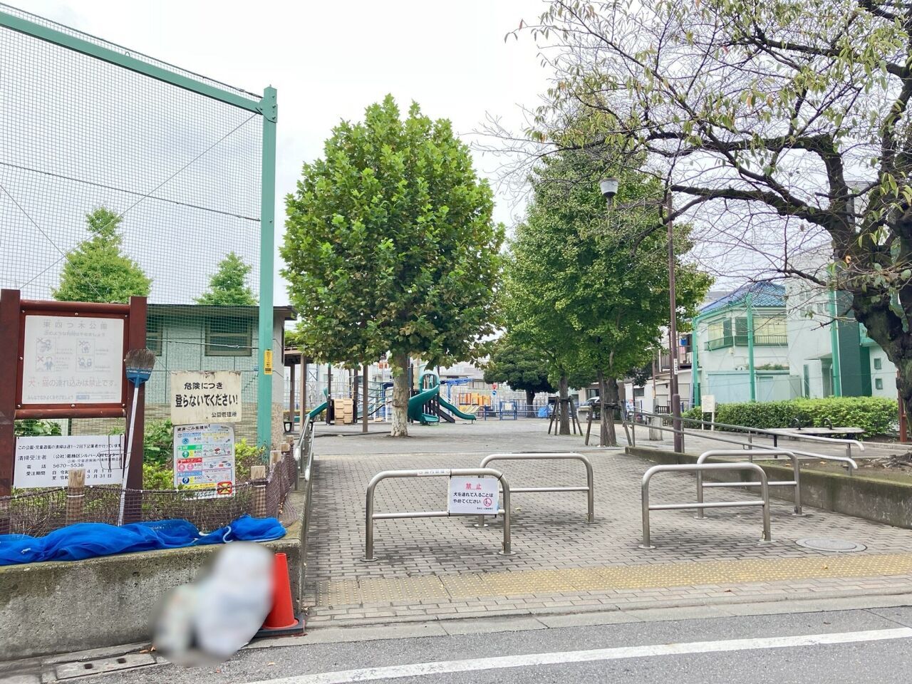画像3956