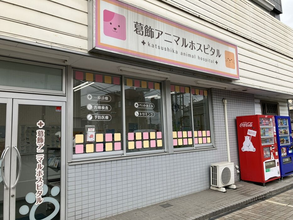 画像4040