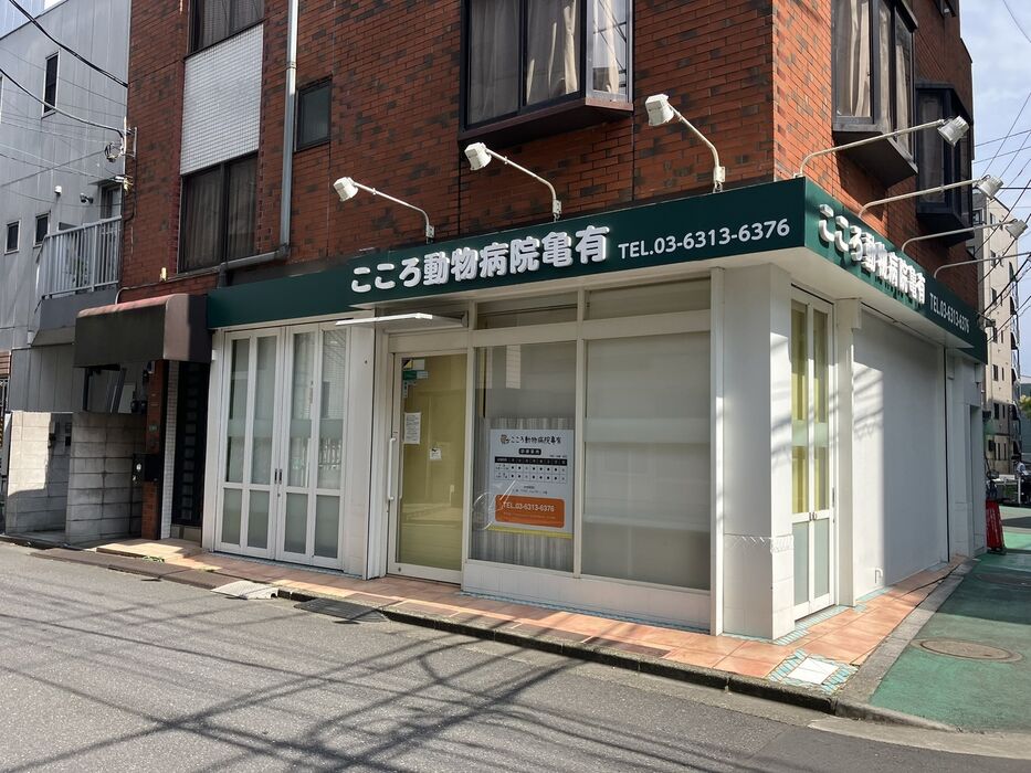 画像4088