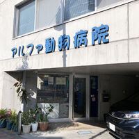 画像4148