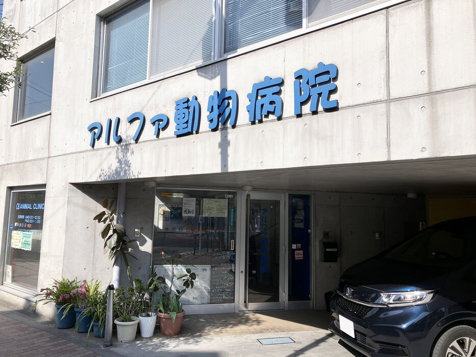 画像4148
