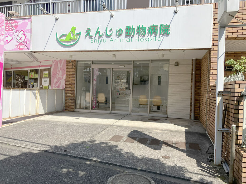 画像4172