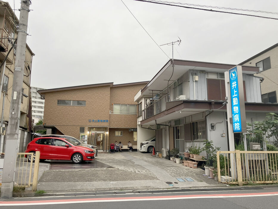 画像4244