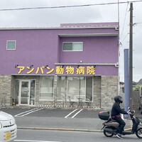 画像4274