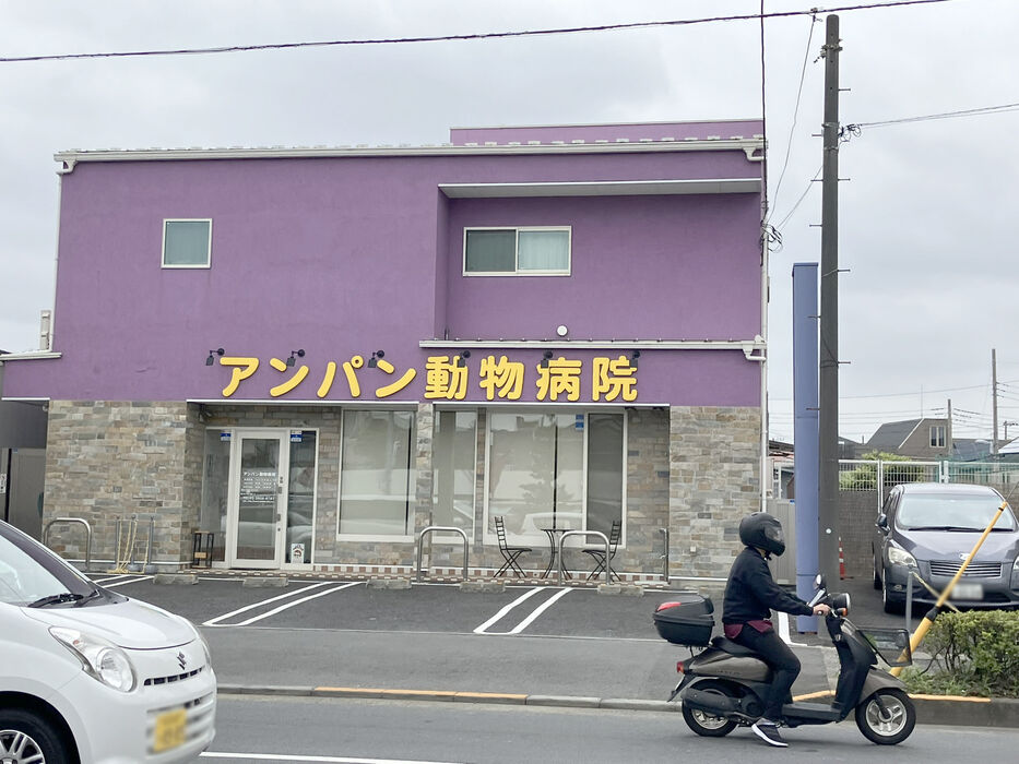 画像4274