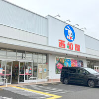画像4579