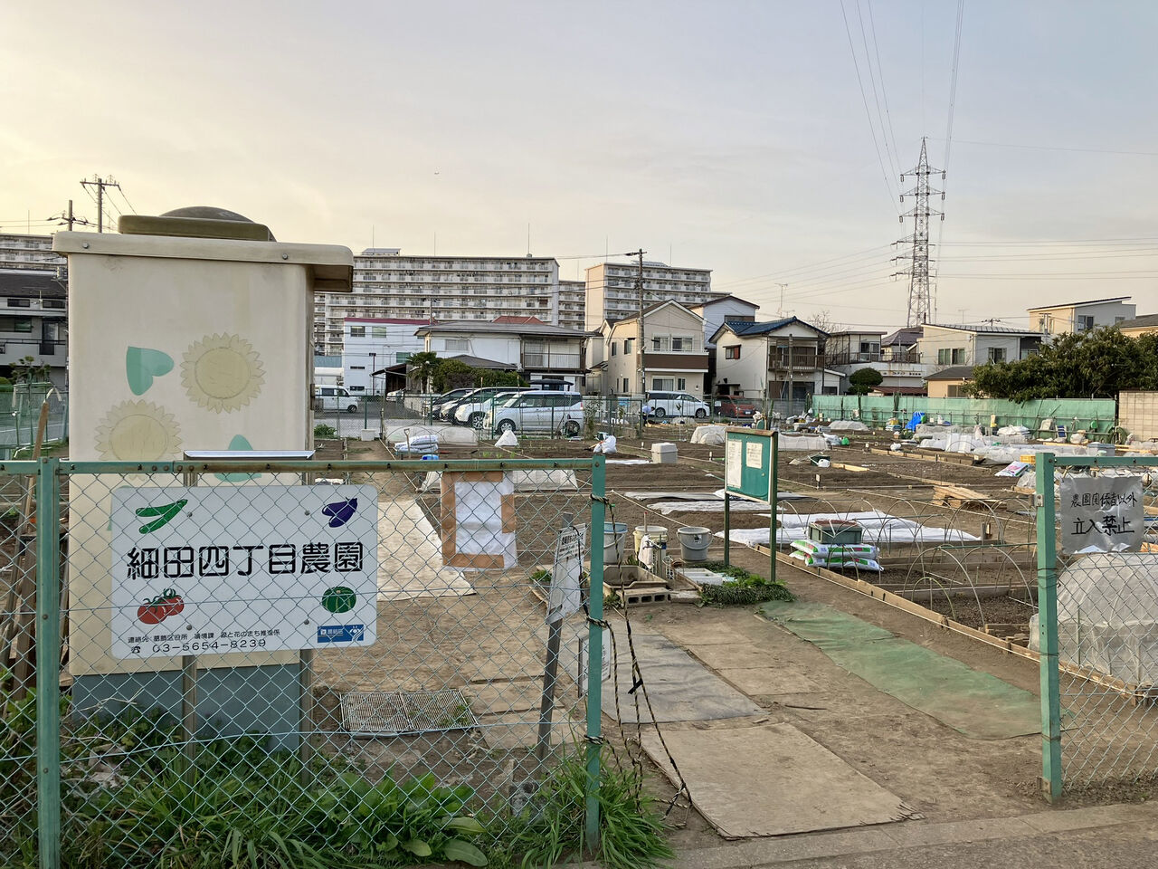 画像4773