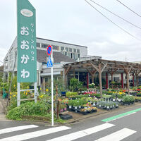 画像4817