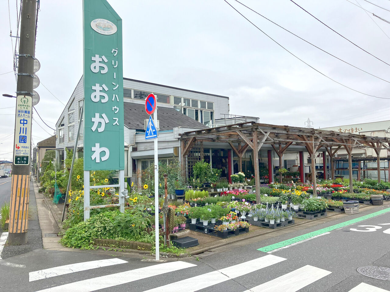 画像4817