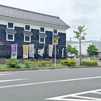 画像4883